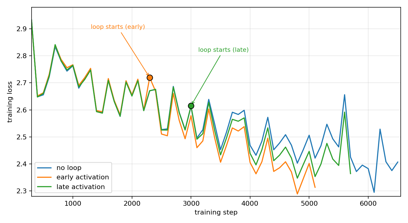 No-loop vs early vs late loop activation