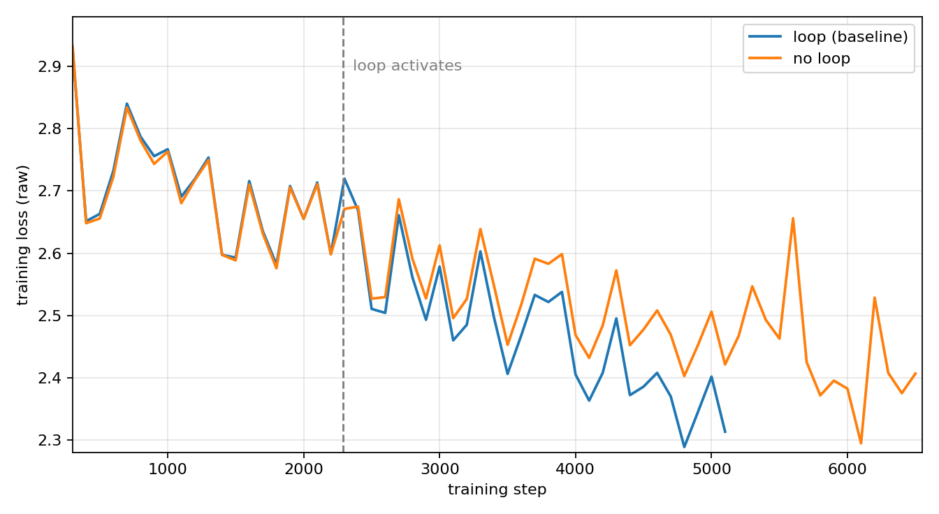 Loop vs no-loop training loss